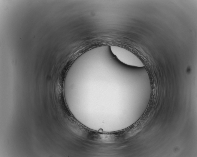 X0000099420371200805090756
