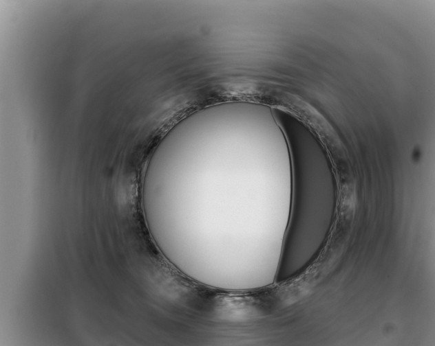 X0000099420372200805090756