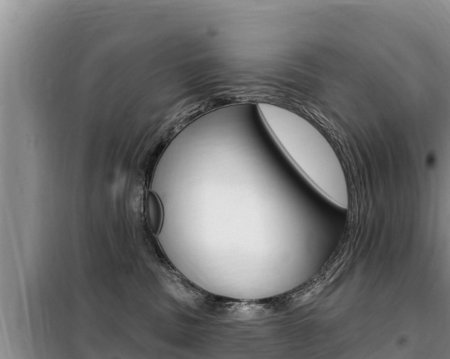 X0000099420379200805090757