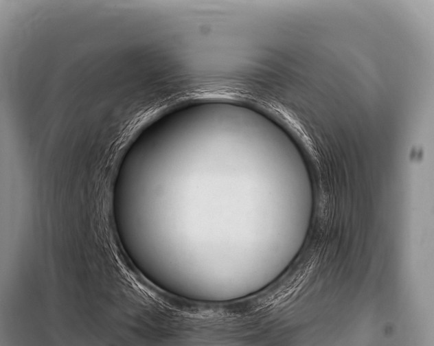 X0000099420385200805090756
