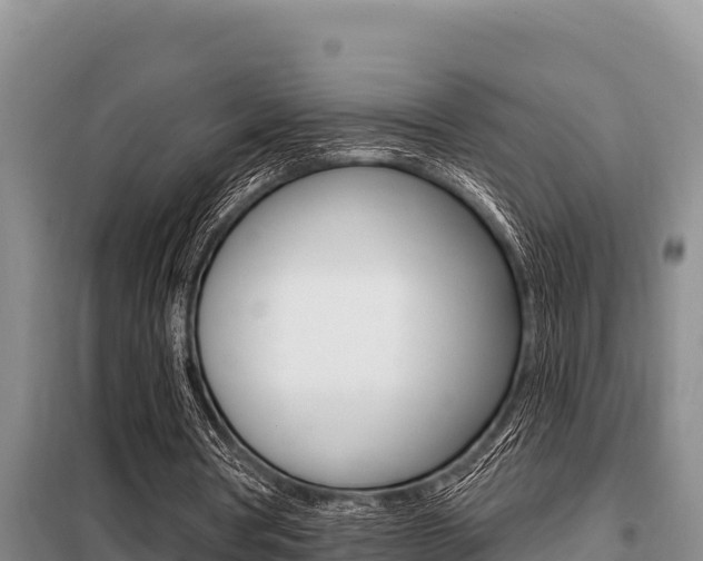 X0000099420386200805090756