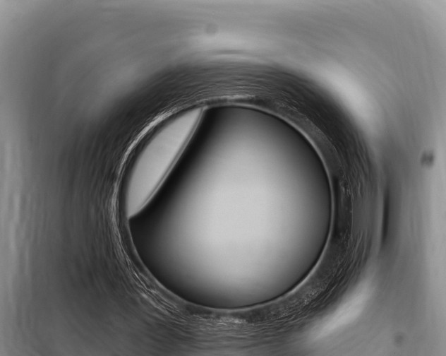 X0000099420387200805090756