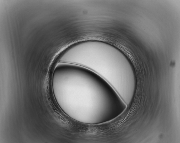 X0000099420388200805090756