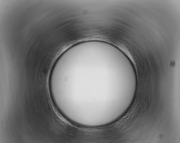 X0000099420389200805090756
