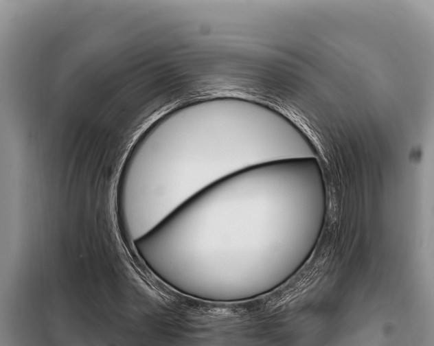 X0000099420390200805090756