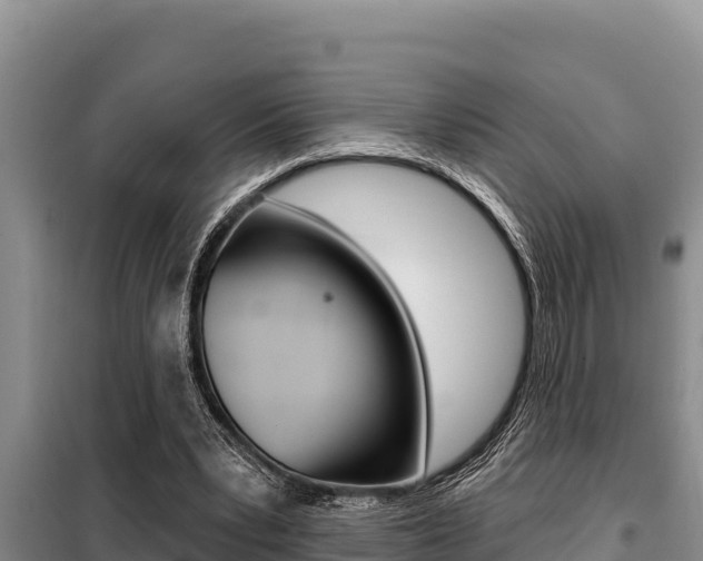 X0000099420391200805090756