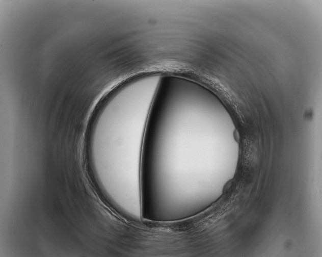 X0000099420392200805090756