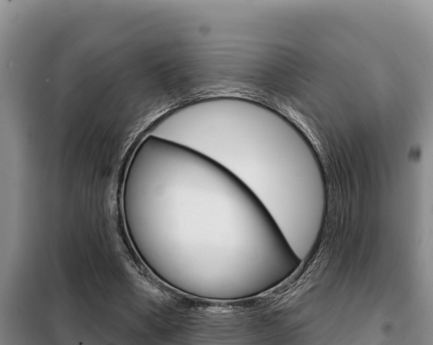 X0000099420394200805090756