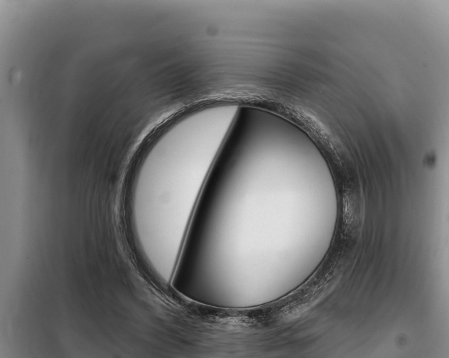 X0000099420396200805090756