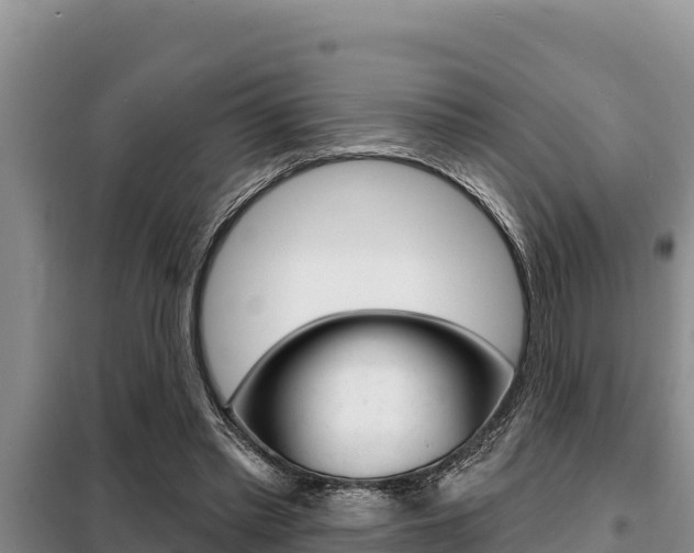 X0000099420397200805090756