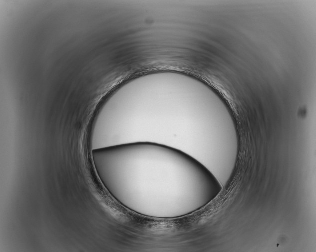 X0000099420398200805090756