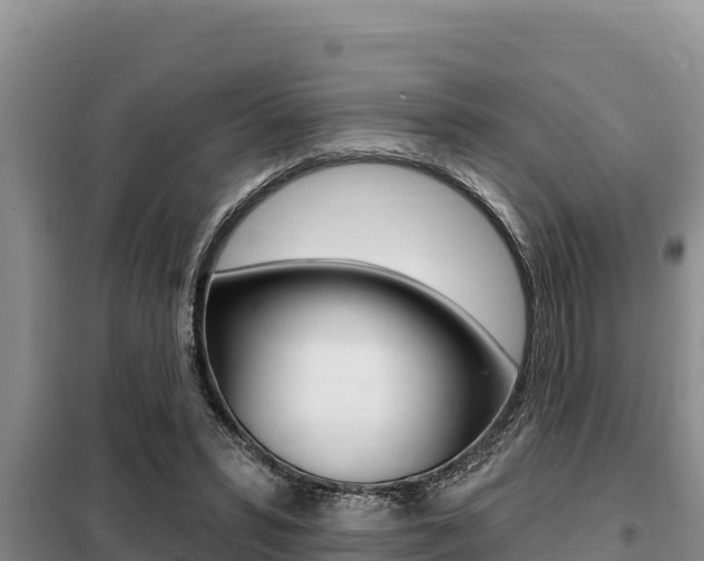X0000099420399200805090756