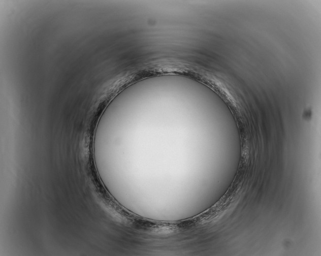 X0000099420402200805090756