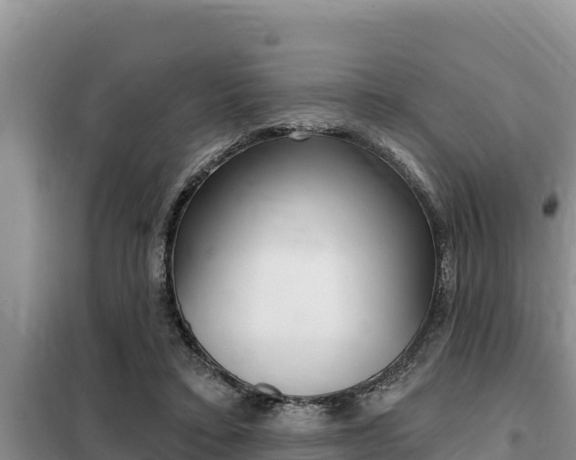 X0000099420403200805090756