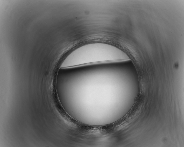 X0000099420404200805090756