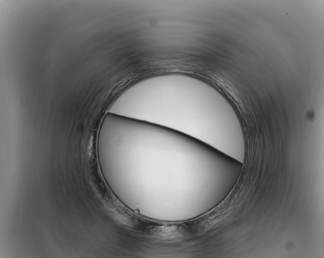 X0000099420406200805090756