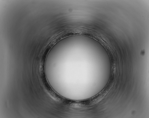 X0000099420408200805090755