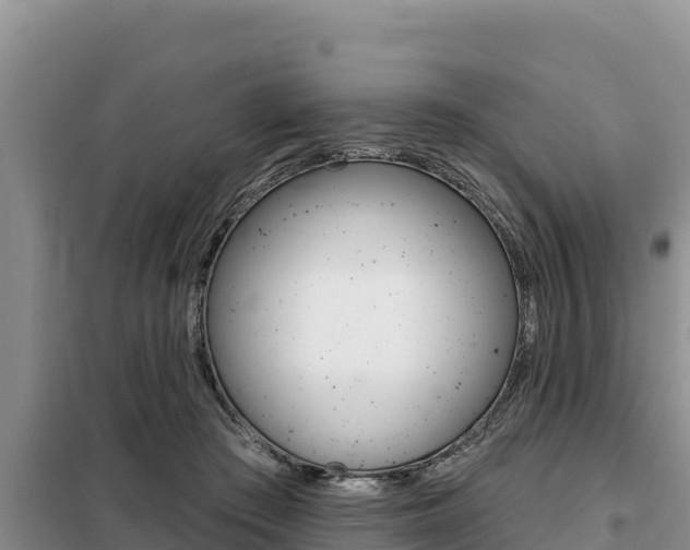X0000099420409200805090755