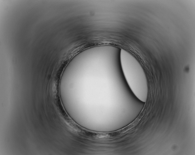 X0000099420410200805090755