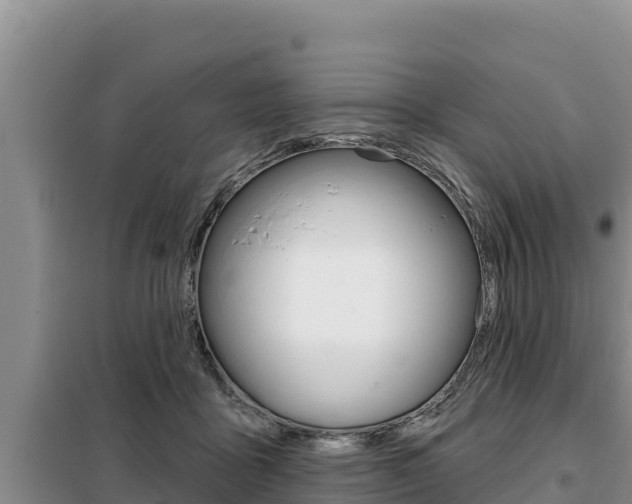 X0000099420411200805090755