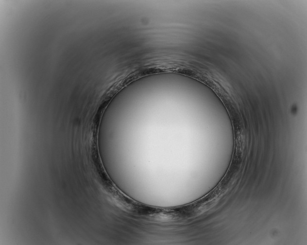 X0000099420412200805090755