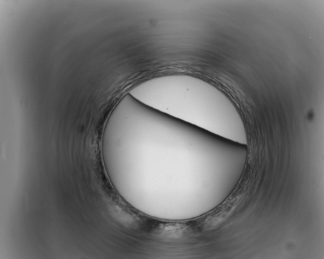 X0000099420414200805090755