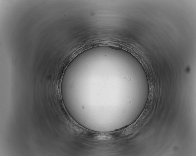 X0000099420415200805090755