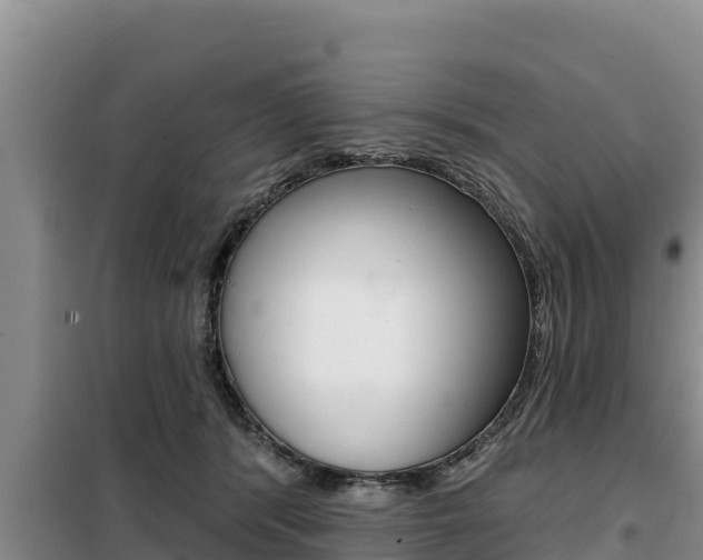 X0000099420416200805090755