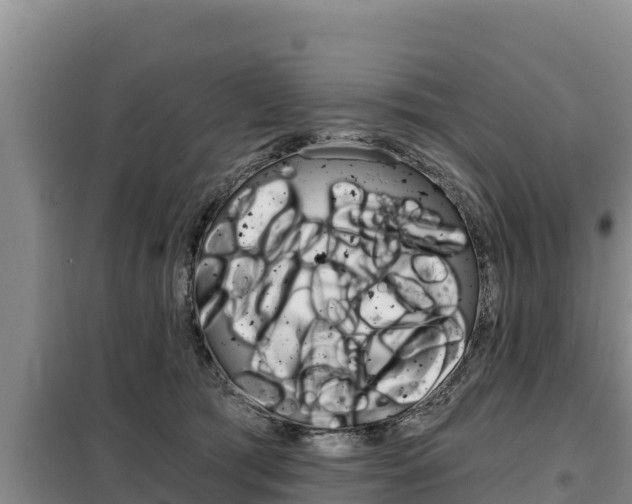 X0000099420417200805090755