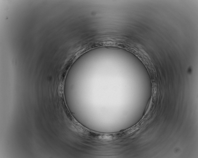 X0000099420419200805090755