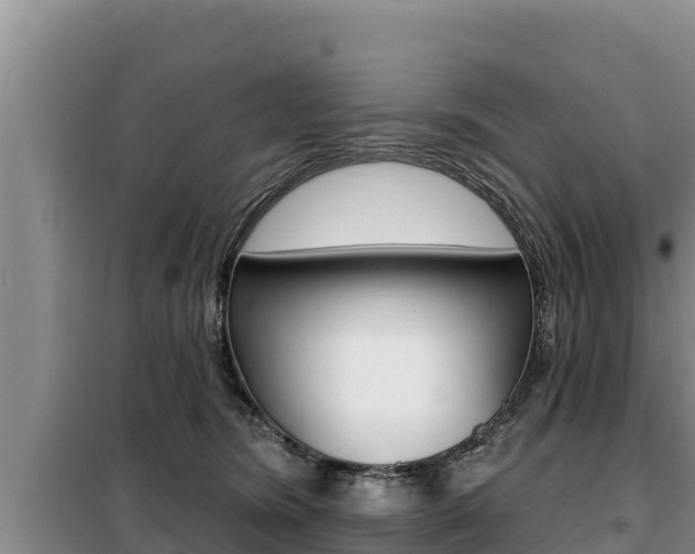 X0000099420420200805090755