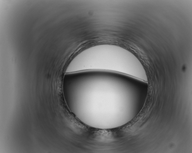 X0000099420421200805090755