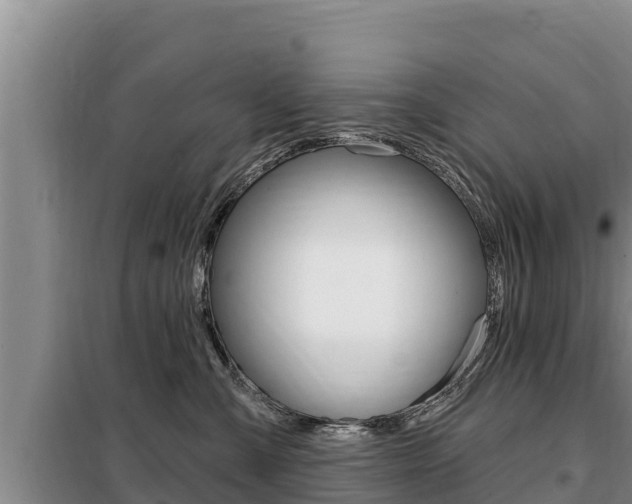 X0000099420427200805090755