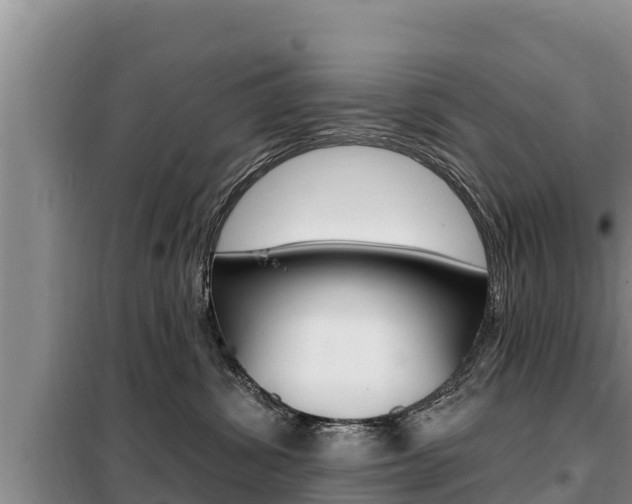X0000099420428200805090755