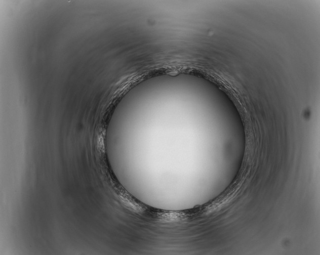 X0000099420432200805090755