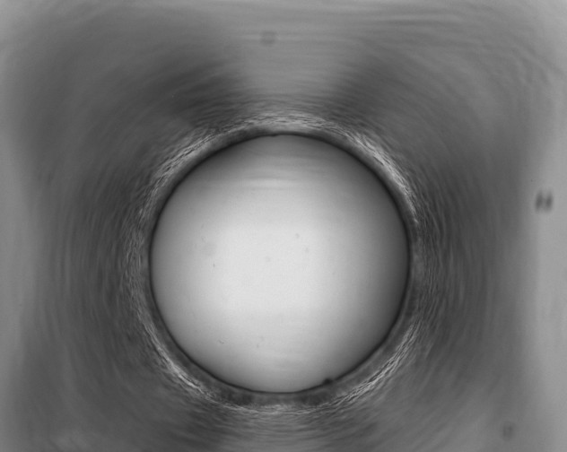 X0000099420433200805090754