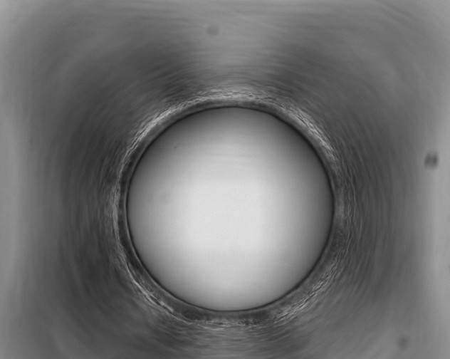 X0000099420434200805090754