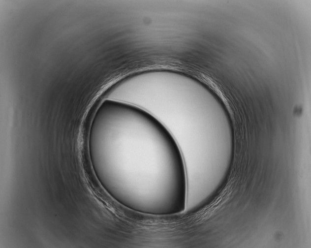 X0000099420435200805090754