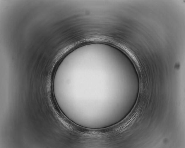 X0000099420437200805090754
