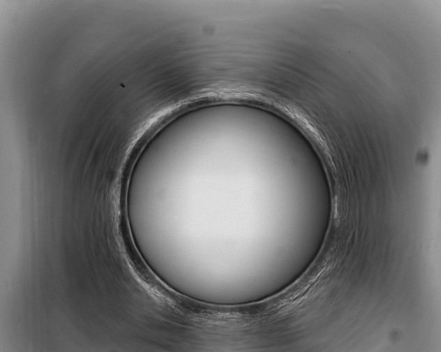 X0000099420438200805090754
