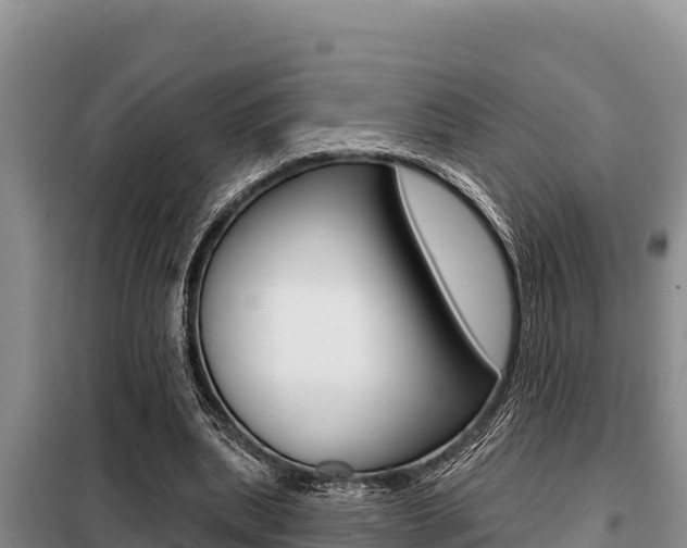 X0000099420439200805090754