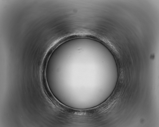 X0000099420440200805090754