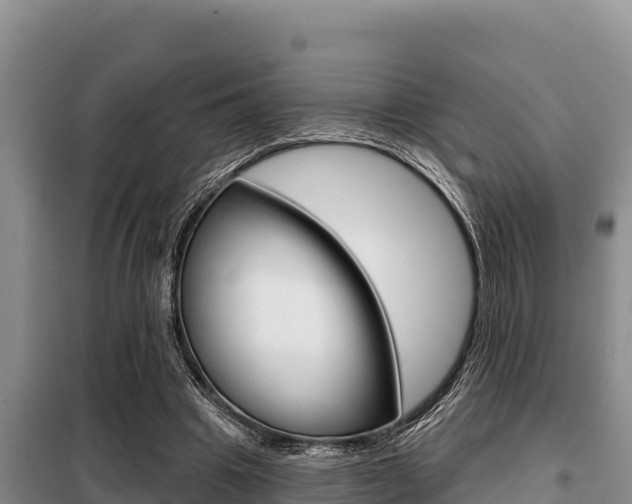 X0000099420441200805090754