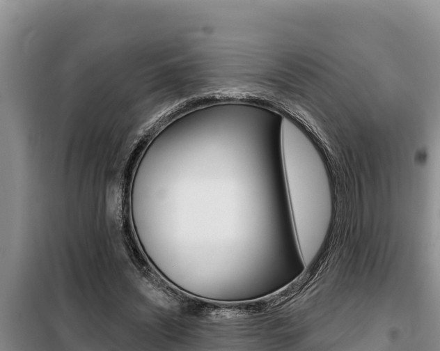 X0000099420444200805090754