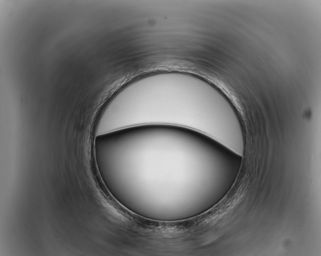 X0000099420445200805090754