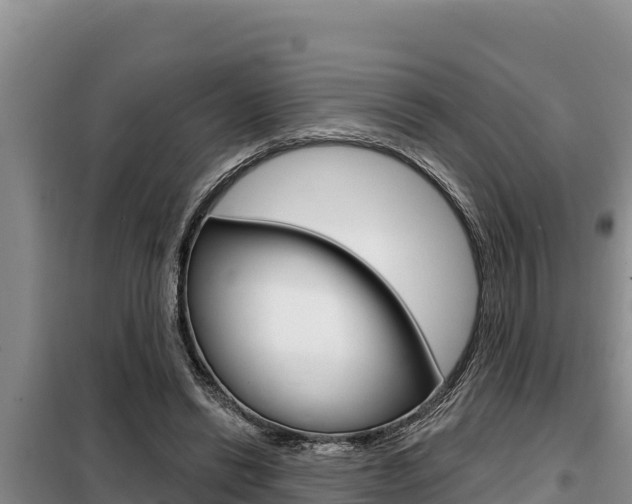 X0000099420446200805090755