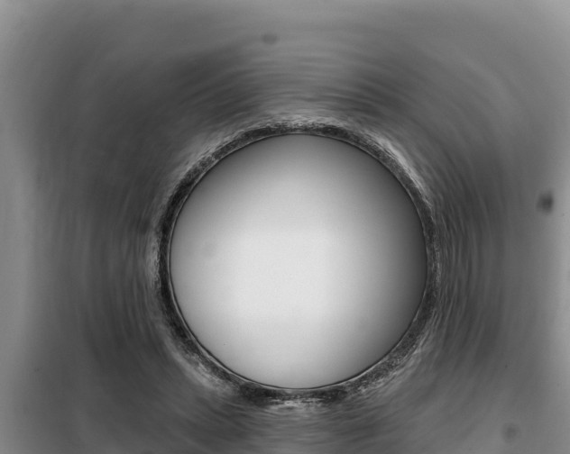 X0000099420447200805090755