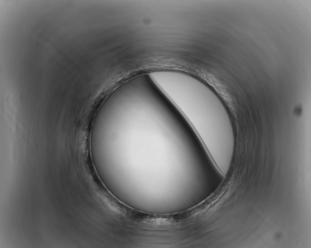 X0000099420449200805090755