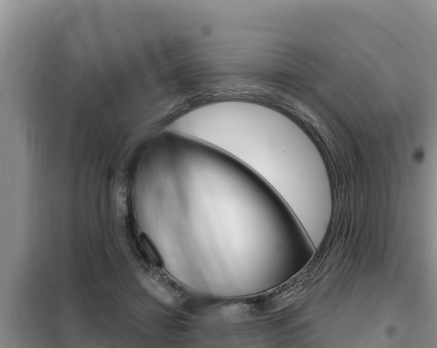 X0000099420452200805090755