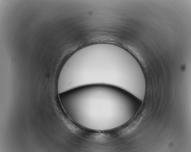 X0000099420453200805090755